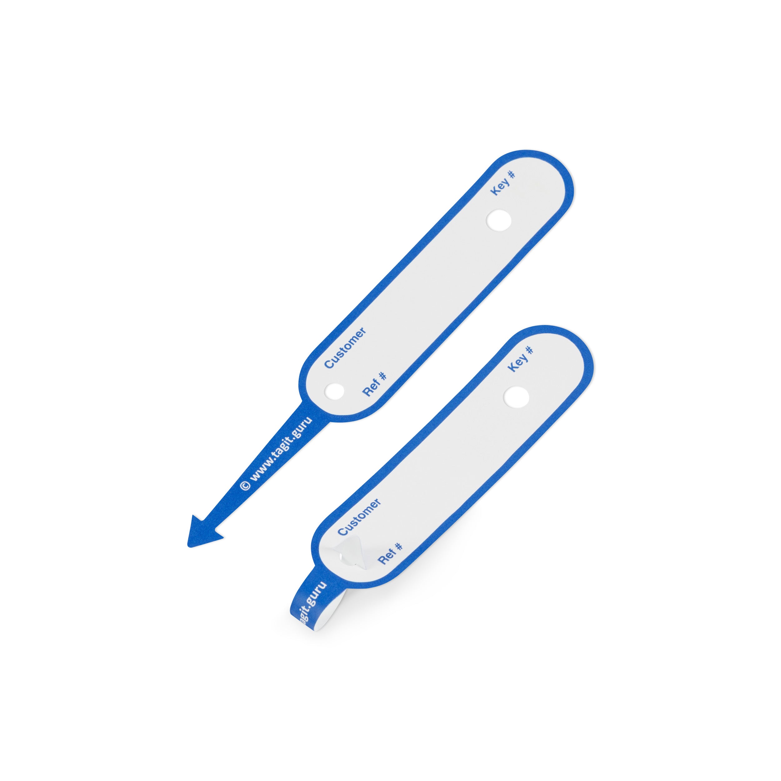 TAGIT Key Tags (250)