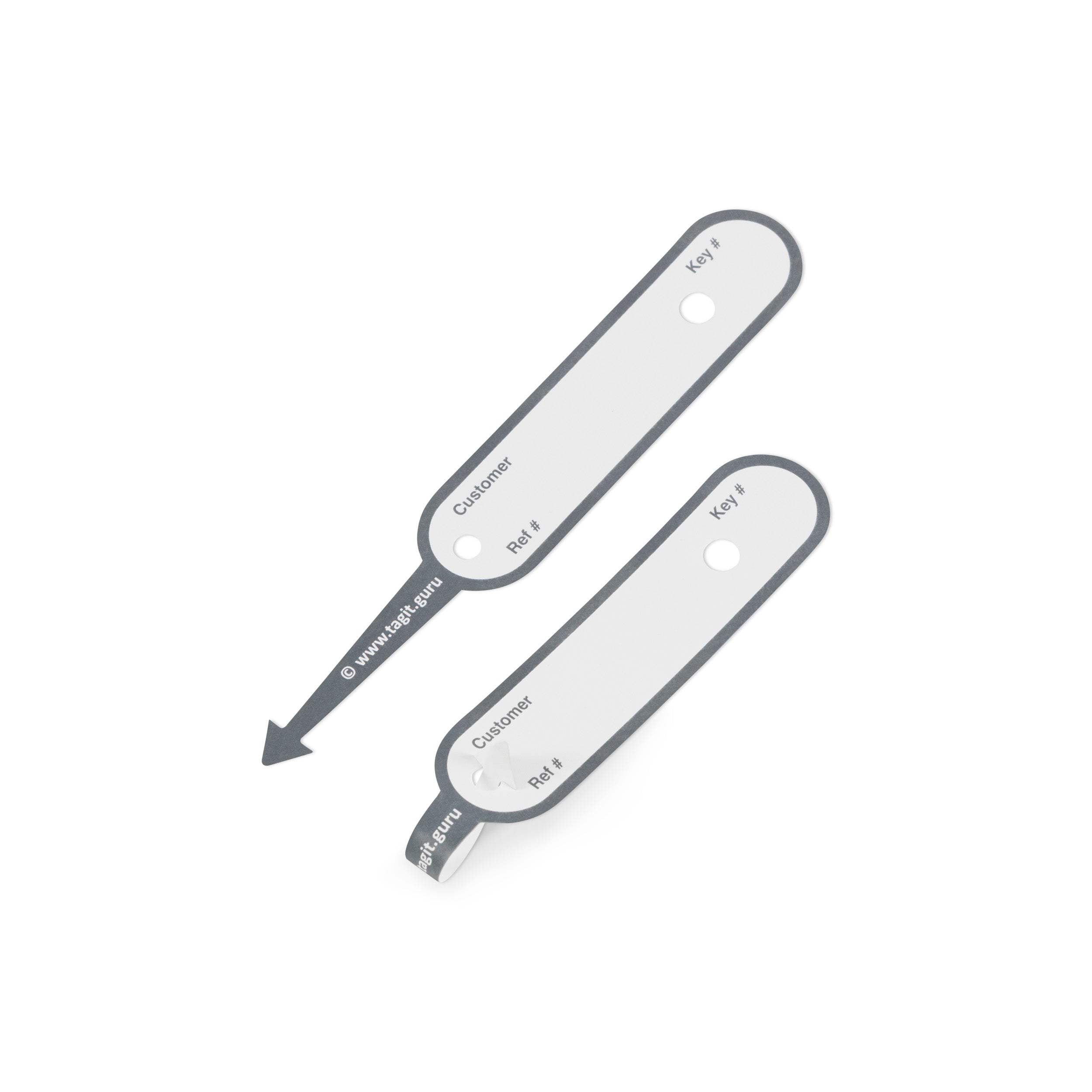 TAGIT Key Tags (250)