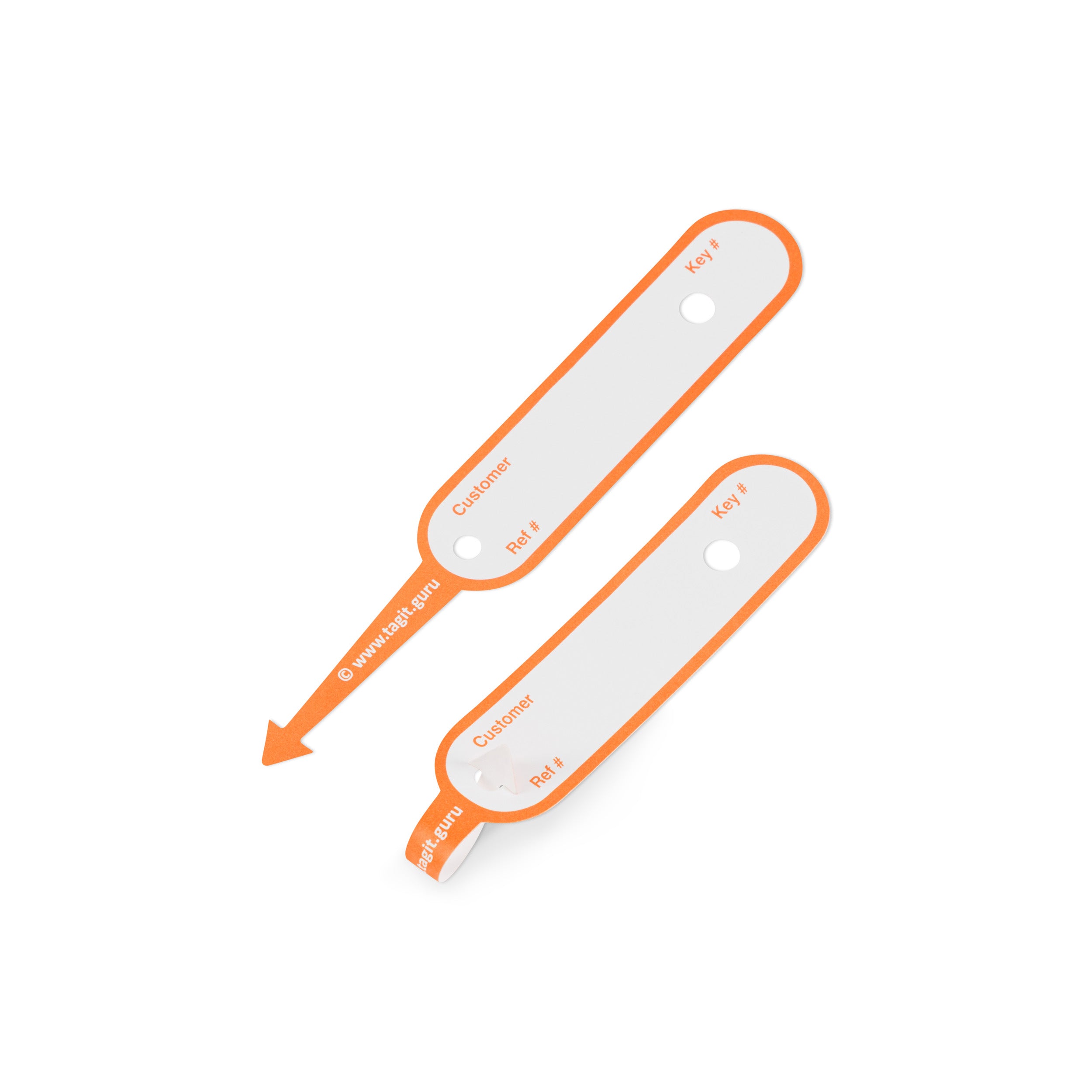 TAGIT Key Tags (250)