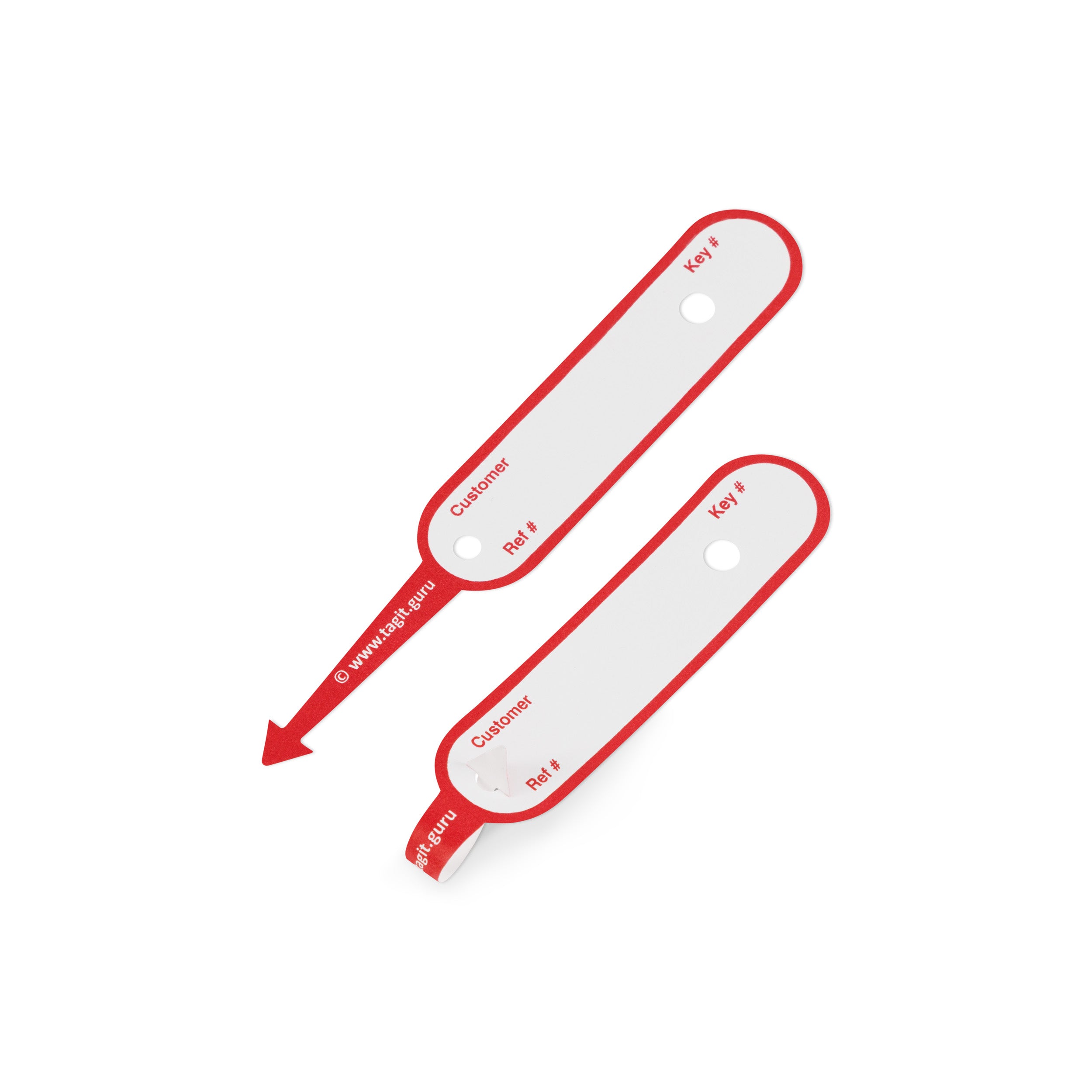 TAGIT Key Tags (250)