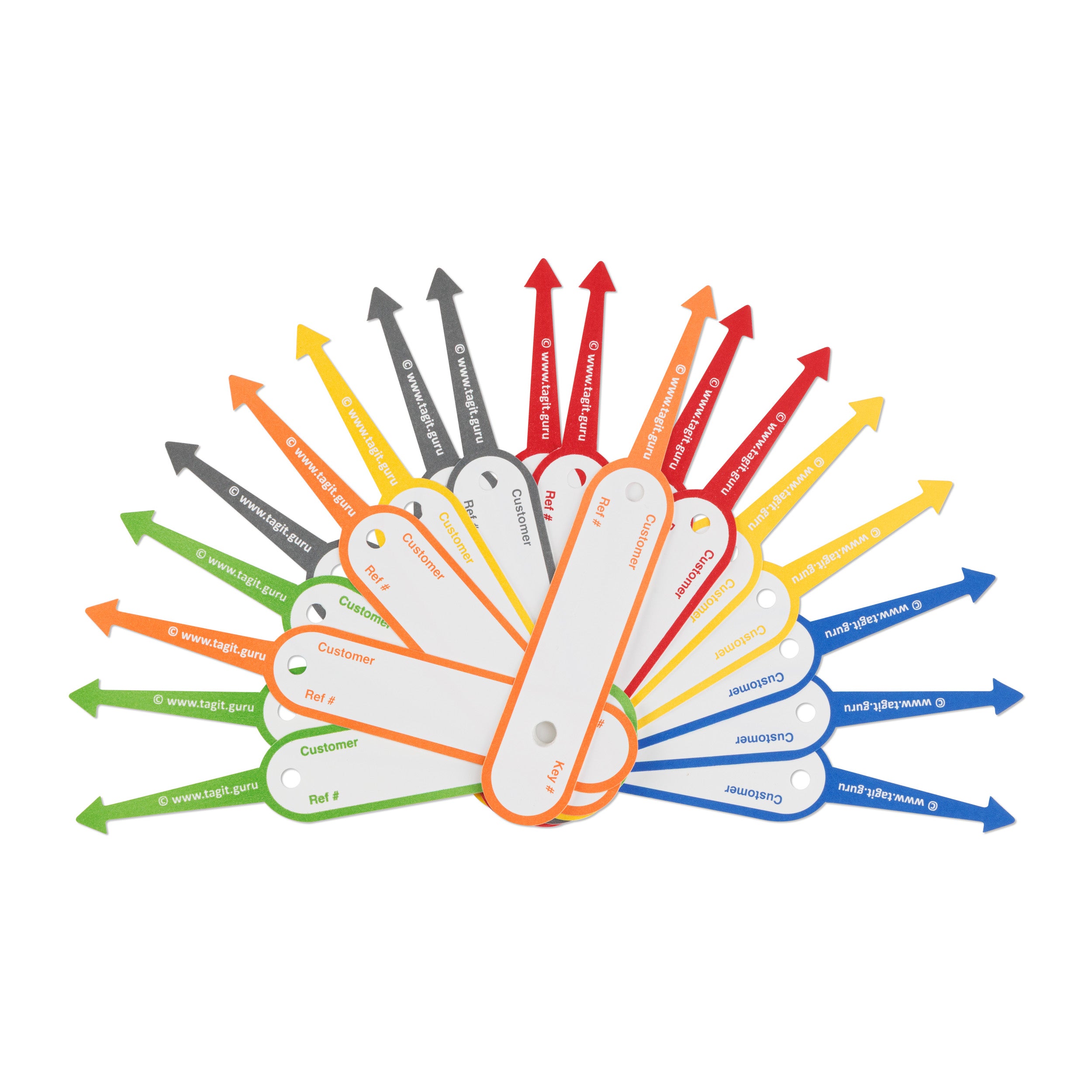 TAGIT Key Tags (250)